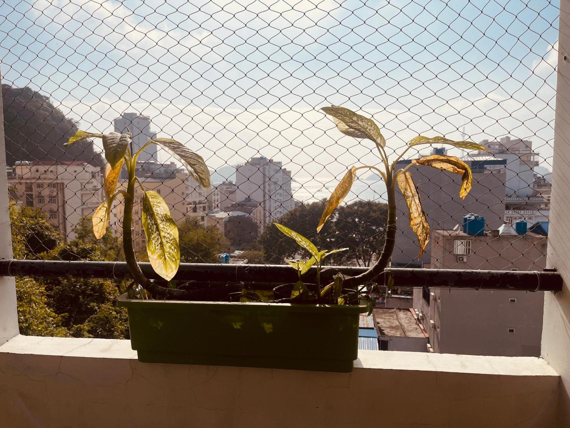 Catba Sky View Hotel Dong Khe Sau Dış mekan fotoğraf